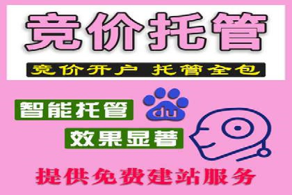 案例解读：SEO与SEM优化助力电商崛起